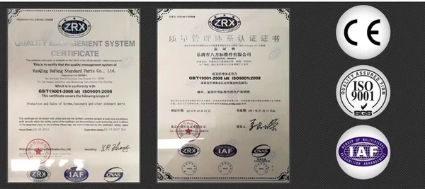 1736147273585 1736147273585